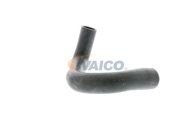 FURTUN RADIATOR VAICO V202606 43
