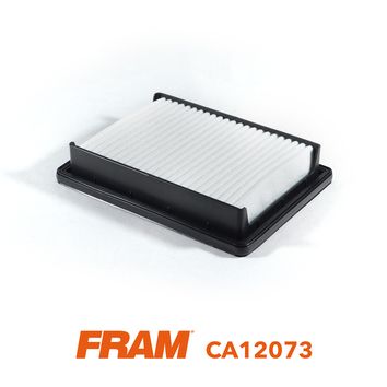 FRAM CA12073