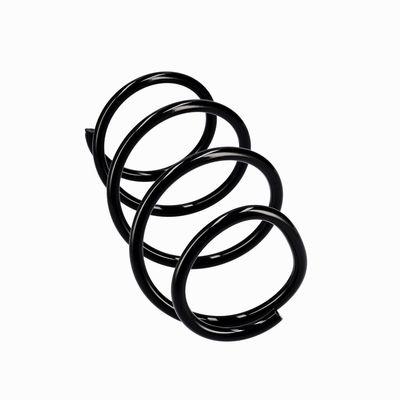 ARC SPIRAL EIBACH R10546 24
