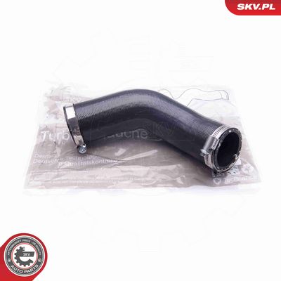 FURTUN EAR SUPRAALIMENTARE