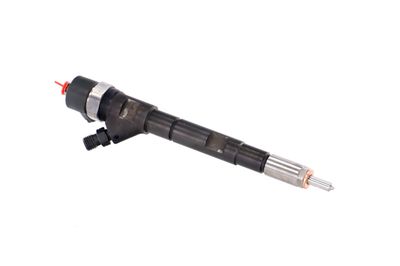 INJECTOR REMANTE 002003000018R 49