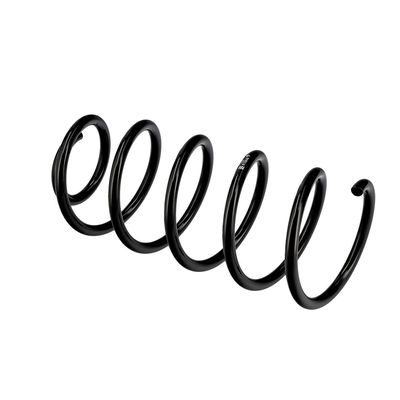 ARC SPIRAL EIBACH R10846 21