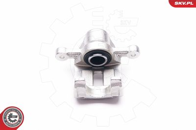 Brake Caliper 23SKV613