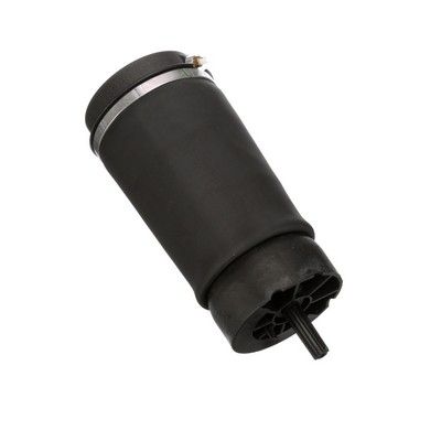 LUFTFEDER FAHRWERK Arnott A2831 68