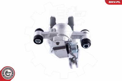 Brake Caliper 55SKV073