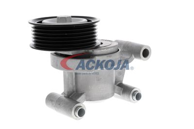 INTINZATOR CUREA CUREA DISTRIBUTIE ACKOJA A320602 55