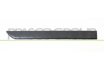 ELEMENTE DECORATIVE/PROTECTIE PORTIERA PRASCO OP0341453