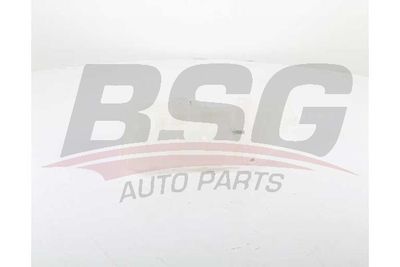 Компенсационный бак, охлаждающая жидкость BSG BSG 60-550-005 для MERCEDES-BENZ M-CLASS