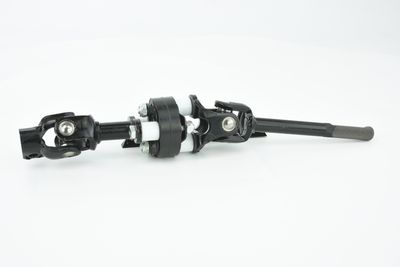 ARBORE DIRECTIE FEBEST ASSZGVSQ 25