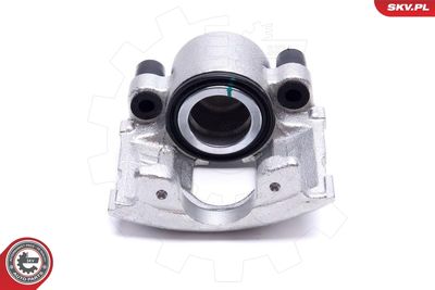 Brake Caliper 56SKV262