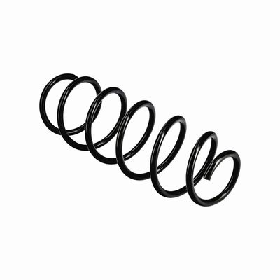 ARC SPIRAL EIBACH R11019 10