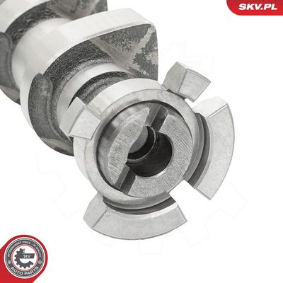 Vačkový hřídel ESEN SKV 80SKV051