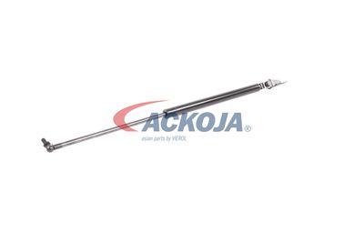 AMORTIZOR PORTBAGAJ ACKOJA A320095 32