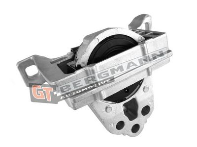 GT-BERGMANN Automotive Variklio montavimas
