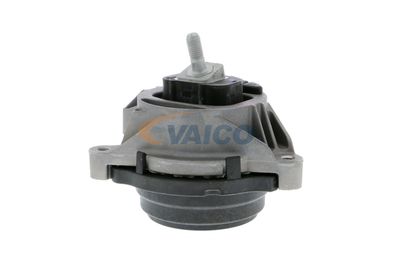 SUPORT MOTOR VAICO V201552 19