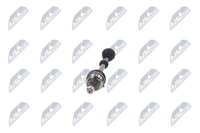 PLANETARA NTY NPWCH062 34