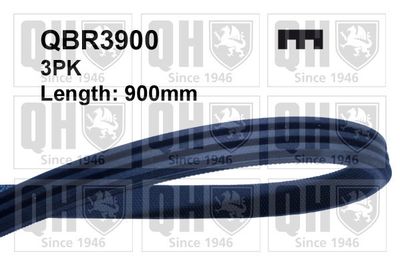Поликлиновой ремень QUINTON HAZELL QBR3900 для FIAT STRADA