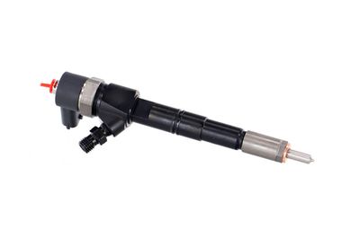INJECTOR REMANTE 002003000028R 44