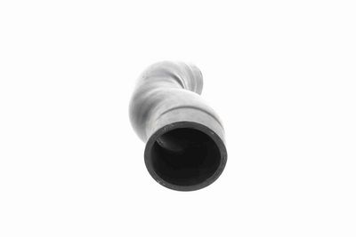 FURTUN EAR SUPRAALIMENTARE ACKOJA A529602 8