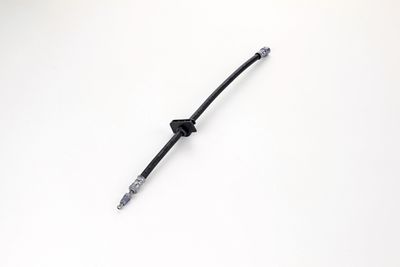 FURTUN FRANA ATE 24513404203 22