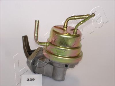 POMPA COMBUSTIBIL ASHIKA 0502229 1