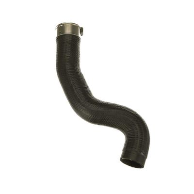 FURTUN EAR SUPRAALIMENTARE GATES 091624 65