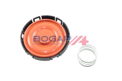 VENTIL AERISIRE CARTER BOGAP B1116107 2