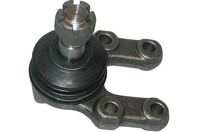 Kavo Parts Šarnyras / girgždukas