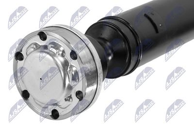 AX CARDANIC ANTRENAREA ARBORELUI NTY NWNLR045 1