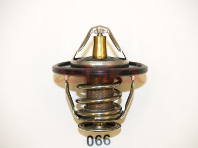 Thermostat, liquide de refroidissement IZAWIT
