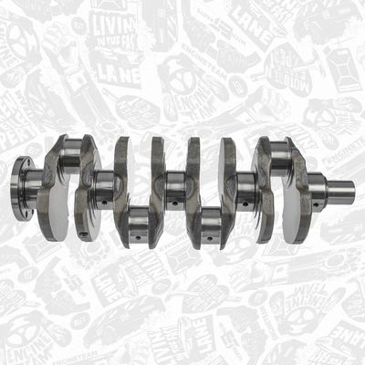 ARBORE COTIT ET ENGINETEAM HK0165 5