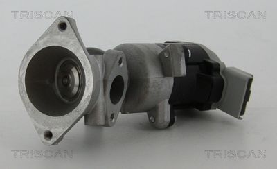 Zawór AGR TRISCAN 8813 17020