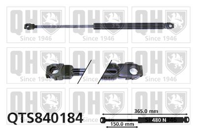 QUINTON HAZELL QTS840184 Амортизатор багажника и капота  для BMW 5 (Бмв 5)