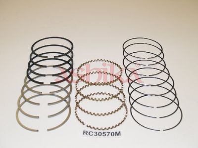 SEGMENT PISTON