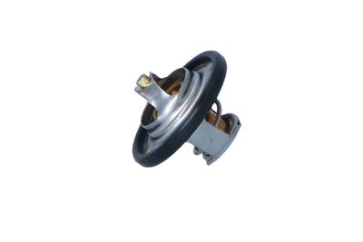TERMOSTAT LICHID RACIRE NRF 725065 16