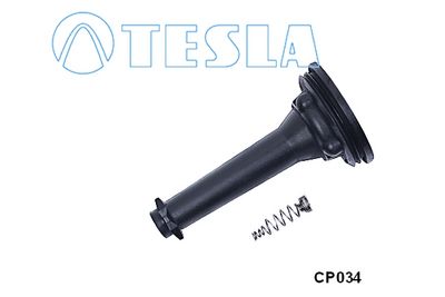 STECKER ZüNDKERZE TESLA CP034