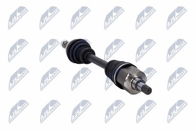 PLANETARA NTY NPWCT139 31