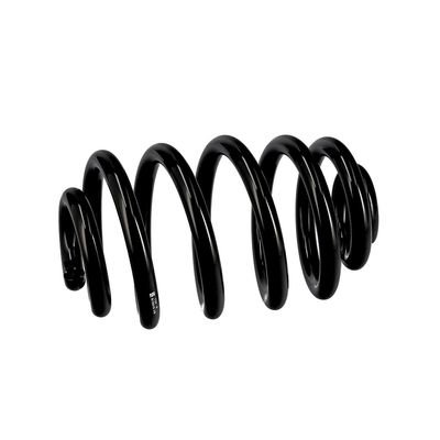 ARC SPIRAL EIBACH R10010 6