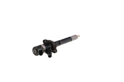 INJECTOR REMANTE 002003000030R 29