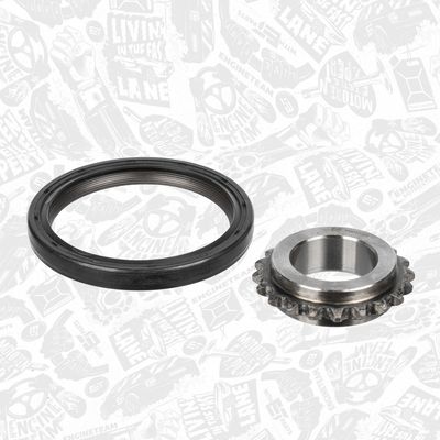 CHIT LANT DE DISTRIBUTIE ET ENGINETEAM RS0090 8