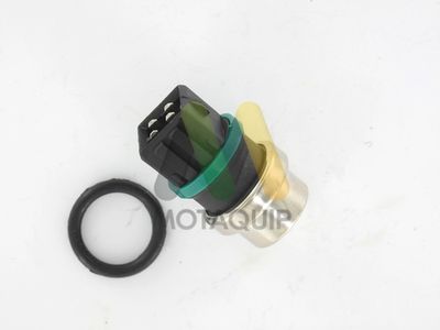 SENZOR TEMPERATURA LICHID DE RACIRE