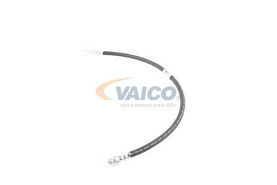 FURTUN FRANA VAICO V103077 22