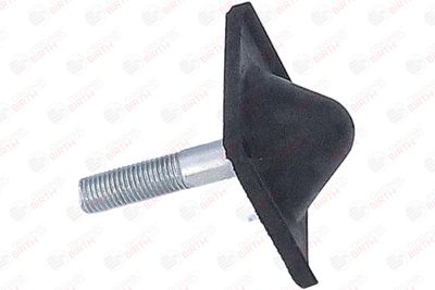 BUCSA ARC FOI BIRTH 56718 4