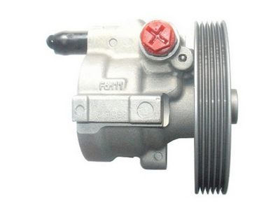 HYDRAULIKPUMPE LENKUNG SPIDAN 54184 2
