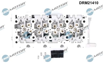 CHIULASA Dr.Motor Automotive DRM21410 1