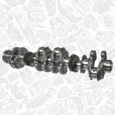 ARBORE COTIT ET ENGINETEAM HK0212 2