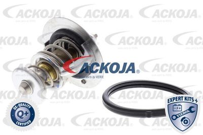 ACKOJA A52-99-0019 Термостат  для HONDA  (Хонда Пилот)