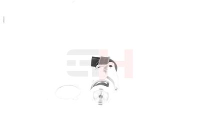 SUPAPA EGR GH GH733910 45