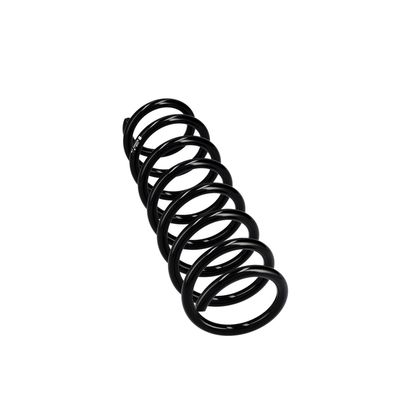 ARC SPIRAL EIBACH R23092 12