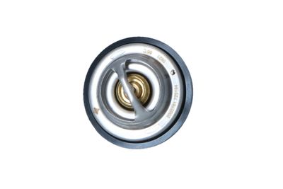TERMOSTAT LICHID RACIRE NRF 725194 9